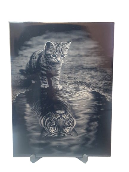 Cat and Tiger Reflection